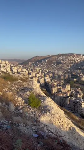 والله ساقو فيها شيوخ شلة الزعران 👌 #abubaseel #بتهون🤘💔 #نابلس_رامالله_جنين_اريحا_الخليل_بيت_لحم #عرب48 