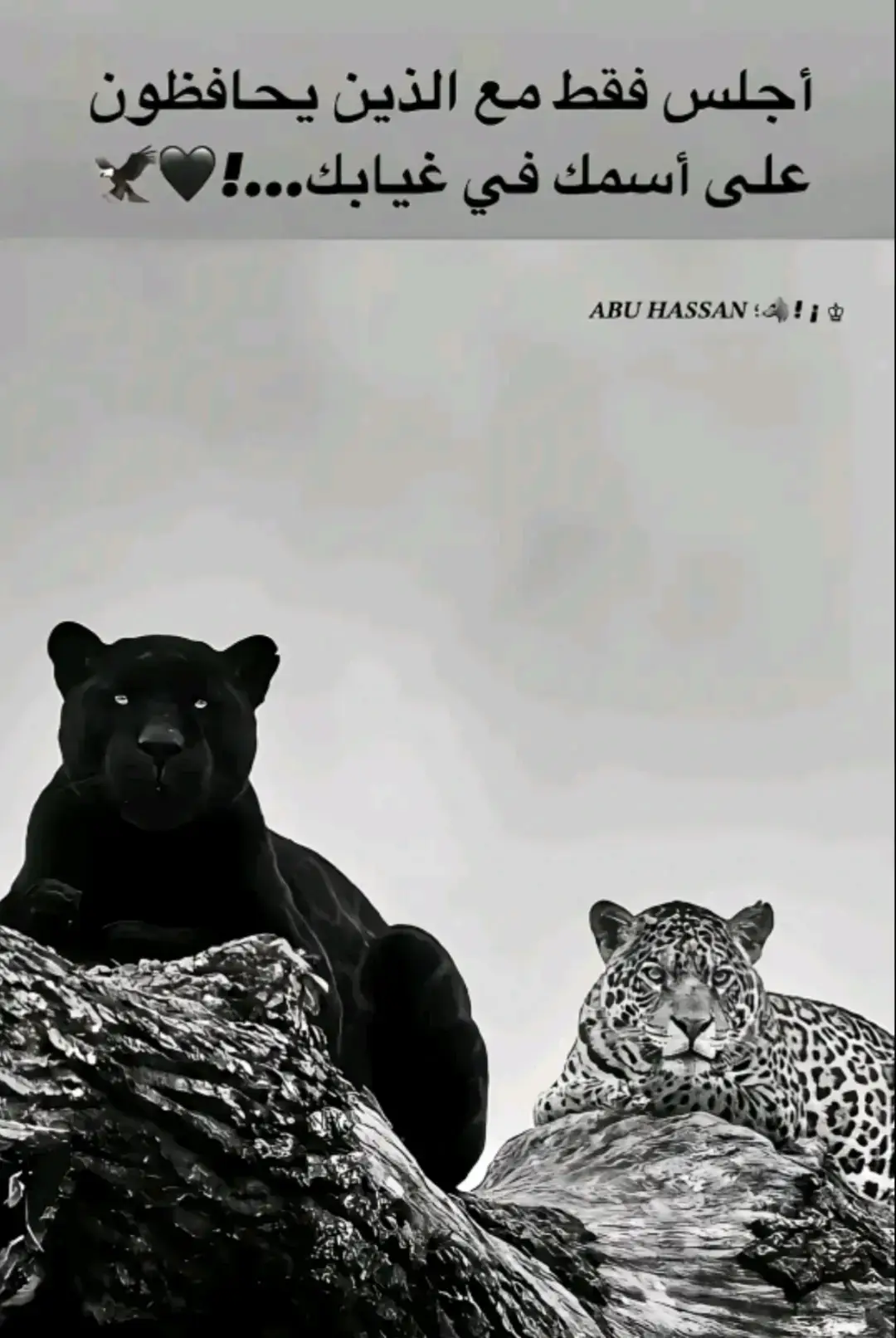 #العماره 