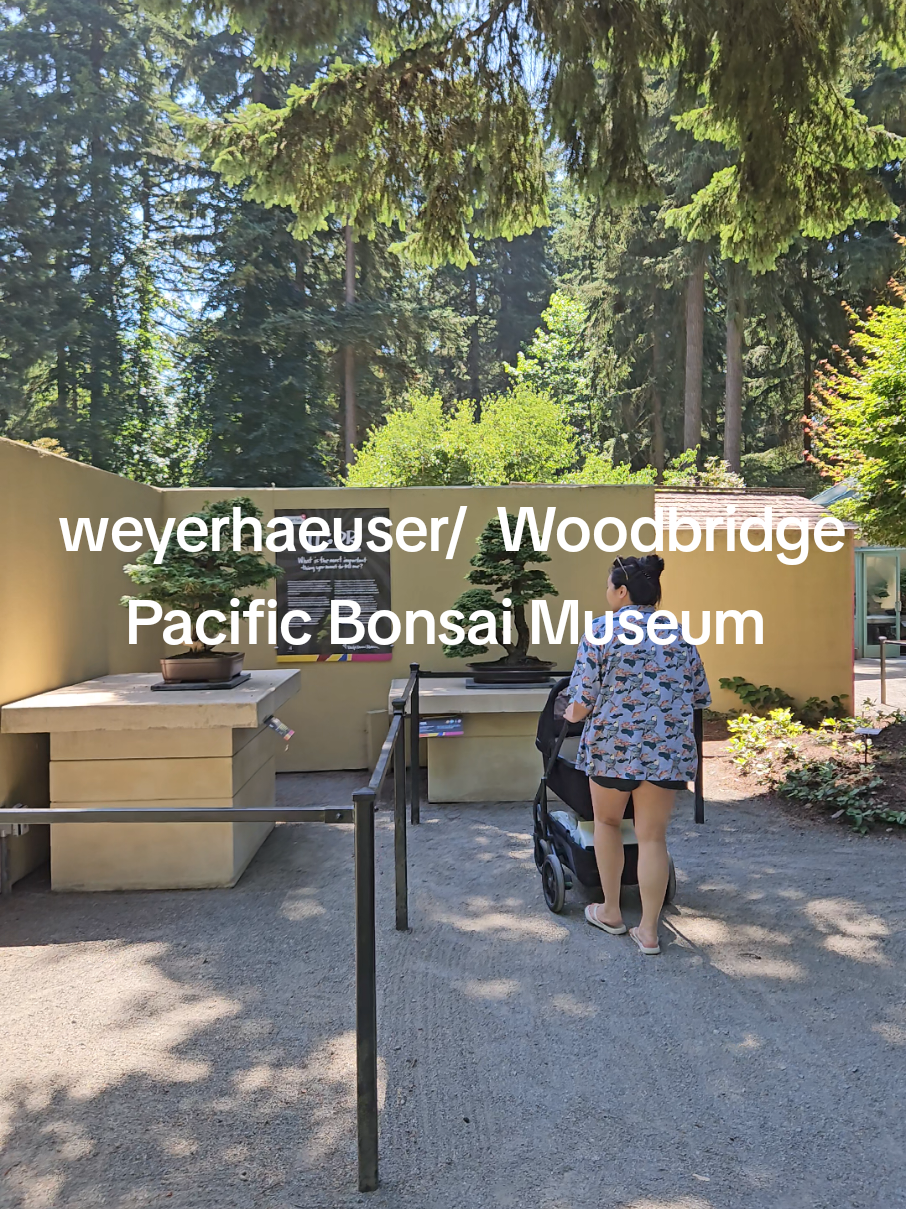 Replying to @zooie.booie and yes dont forget to check out the Pacific Bansai Museum and the Rhododendron garden (when in season) if you check out this building! former weyerhaeuser headquarters, current Woodbridge corporate park #seattlethingstodo #federalwaywashington #federalwaywa #seattletiktok #seattleblogger  #pacificbonsaimuseum 