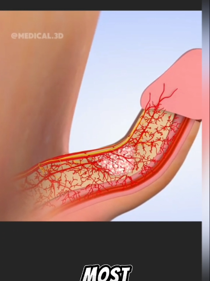You can never guess the food with the most protein #health #nutrition Did you # know? #Recipe MOST#usatiktok #viralvideo smart #trending #chellenge