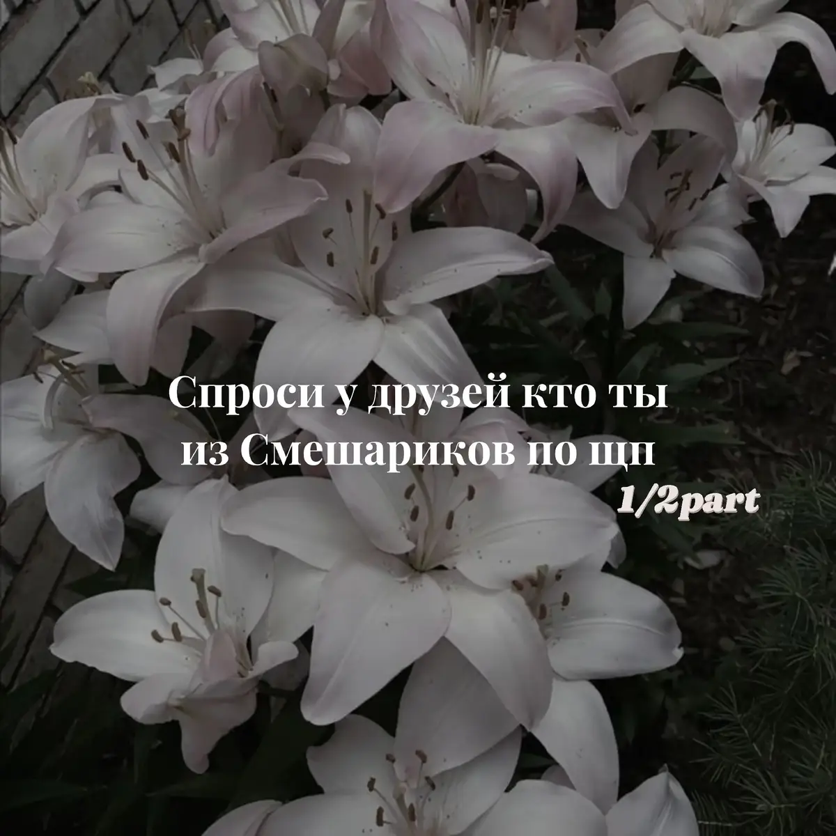 ||Спроси у друзей кто по щп из Смешариков||°•°#shortsvideo#smeshariki#щп#смешарики#fyp#видео#ленивоевидео#рекомендации