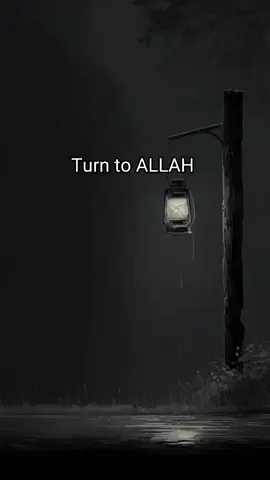 Insha Allah, we'll find our way🤍💫#creatorsearchinsights #inshaallah #Allah #fyp #islamicreflections #fypppppppppppppppppppppp #peace 