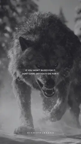 Bleed for it. #motivation #discipline #fyp #motivationalquotes #stoic #wisdom #lifequotes #mindset #warrior #success #stoicism 