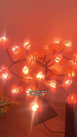 I’m so obsessed with this flower lamp🥹❤️  #giftideas #dormdecor #flowerlamp #roselamp 