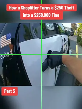 How a Shoplifter Turns a $250 Theft into a $250,000 Fine #cops #copsoftiktok 