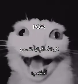 #مالي_خلق_احط_هاشتاقات🦦 #ههههههههههههه #فيديو 