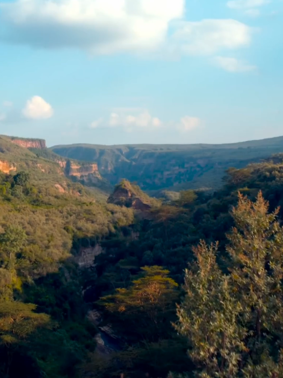 The guy enjoying the view is literally me  #kenya #eastafrica #africa #nature #extremelywired 