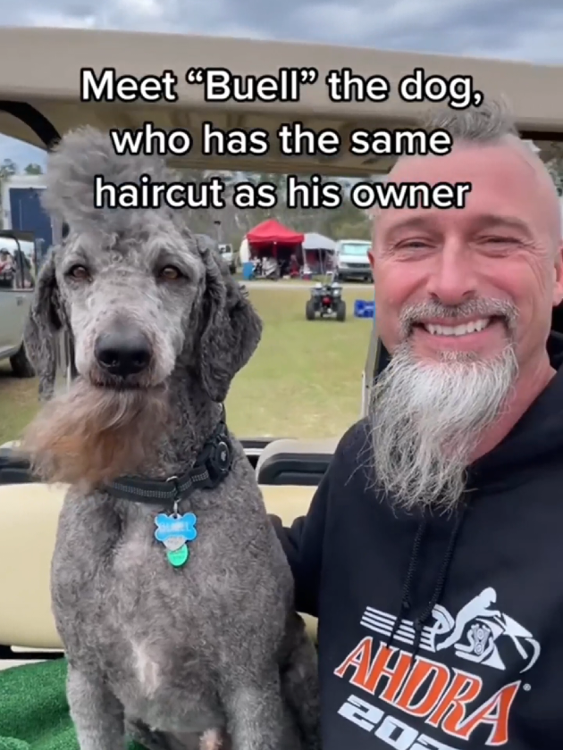 Dogs Who Look Just Like Their Owners 😂🐶 #DogsAndOwners #DogTwins #FunnyDogs #DogLoversUSA #PawfectMatch