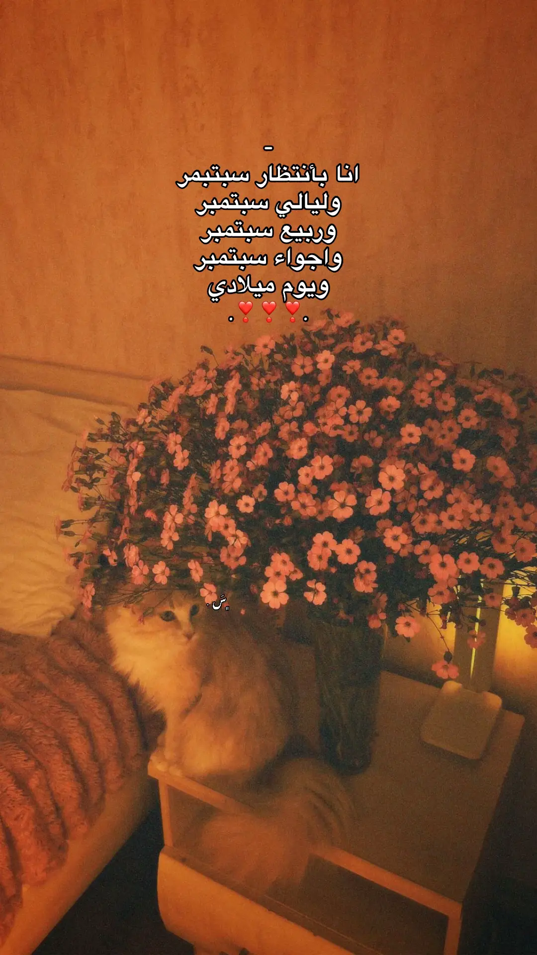 5  ﮼سبتمبر🥹❣️. #fouryou #libya #عيد_ميلادي 