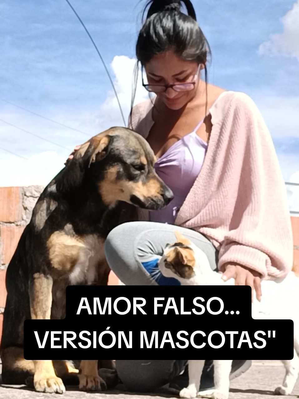 ¿Que voy a creerte a ti? Si mi Peco y Azúcar fingen amor mientras estoy… y apenas me voy, se declaran la guerra. Y en medio de todo, el fósil de la casa, la gata más viejita, aferrada a este mundo terrenal como si fuera suyo. #Viral #Tendencia #Humor #Risas #Mascotas #Perro #Gato #Caos #Fieles #Campo