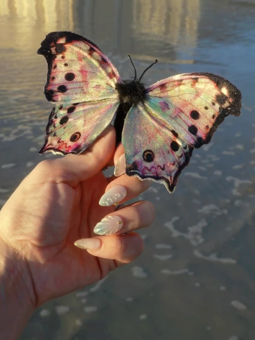 doing my best to show off the colorshift! These are now available for preorder! #butterfly #handmade #handcrafted #bugartist 
