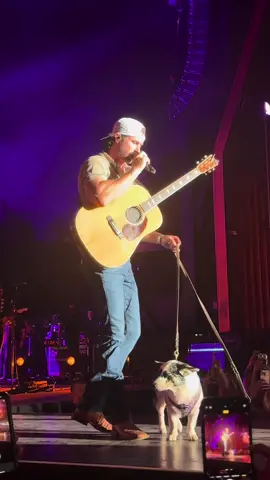 Carl the cowboy Corgi 😍 #rileygreen #alabama #countrymusic #cocacolaamphitheater #concert #fyp @carlthecowboycorgi @Riley Green 