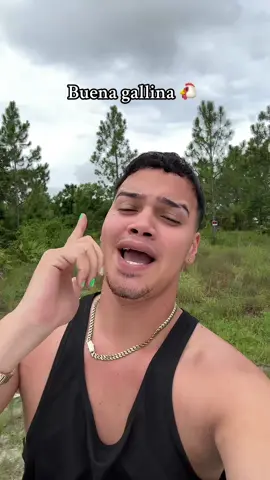 Buena gallina 🐔🤣 @Hugo David Quiñones Montalvo @Lacandelitateprende @cami bonilla @TEAM TIO TITO💚 @Gus Rincón #gallina #cancion #fyp #colombia 