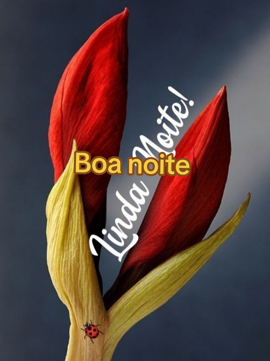 #Boa noite. 