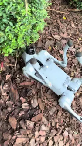 saw this clanker on my morning walk. seems like they’re getting too comfortable. be careful out there.  #clanker #robot #clankermemes #fyp #wireback 