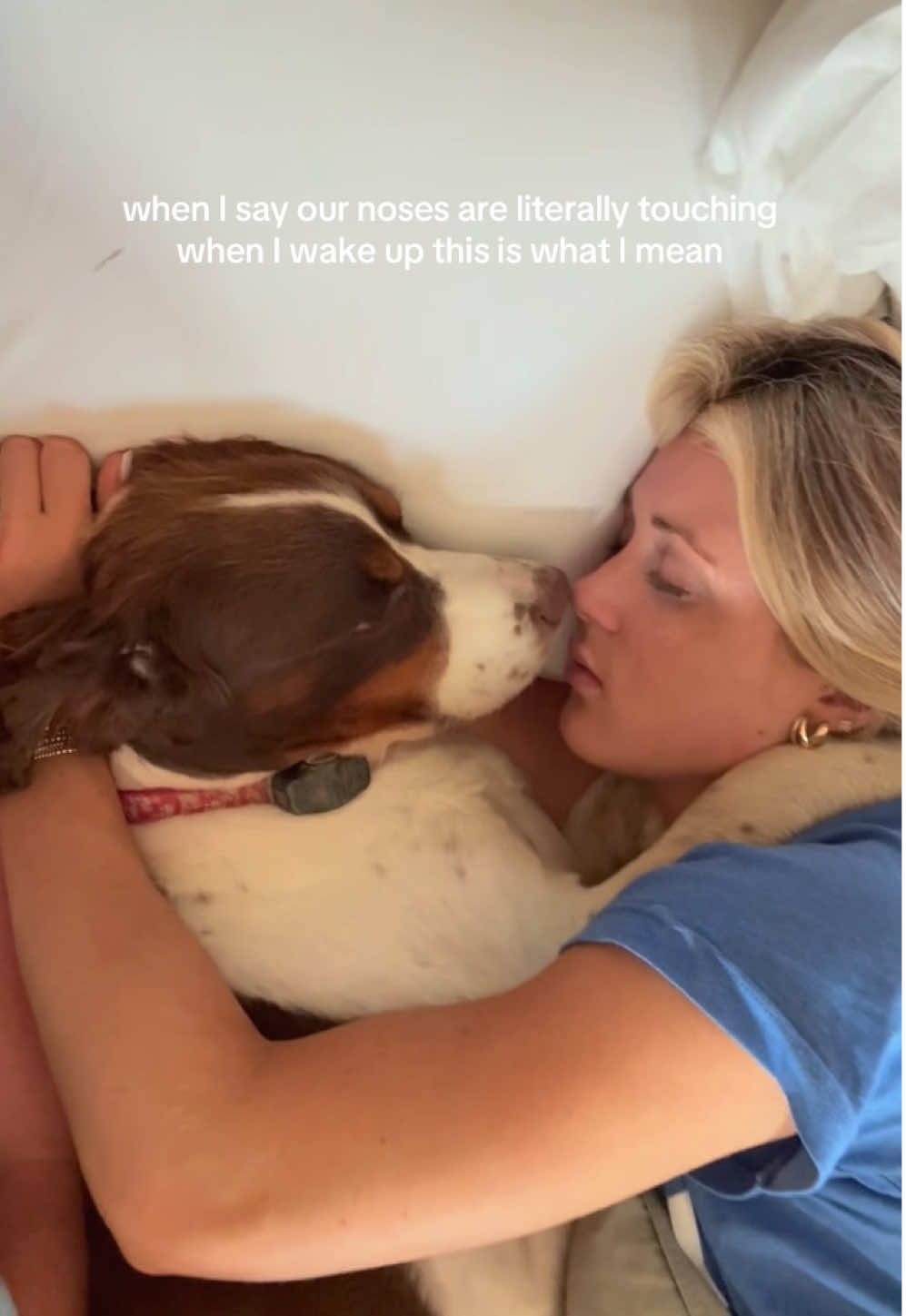 her little snores 🥹 pregnancy is tough on both of us hahaha #dog #dogtok #bestfriend #fyp #foryoupage 