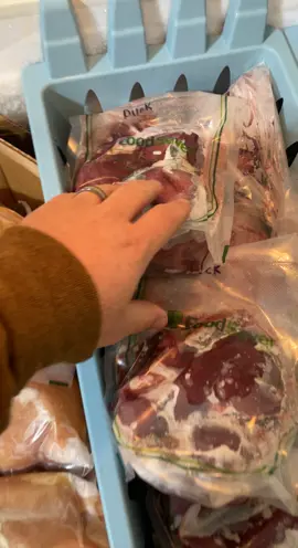 🦆 🦆 🪿 Classic! #jokes #dadjoke #duckhunting #goosehunting #duck #fyp 