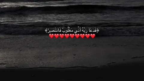 #صدقه_جارية #allah #اجر_لي_ولكم #قران #fypシ゚ #قران_كريم #احمد_خضر 