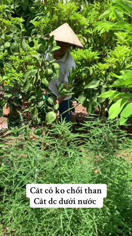 #maycatco #maycatcopindanang #maycatcokhongchoithan #maycatcoworkfix 