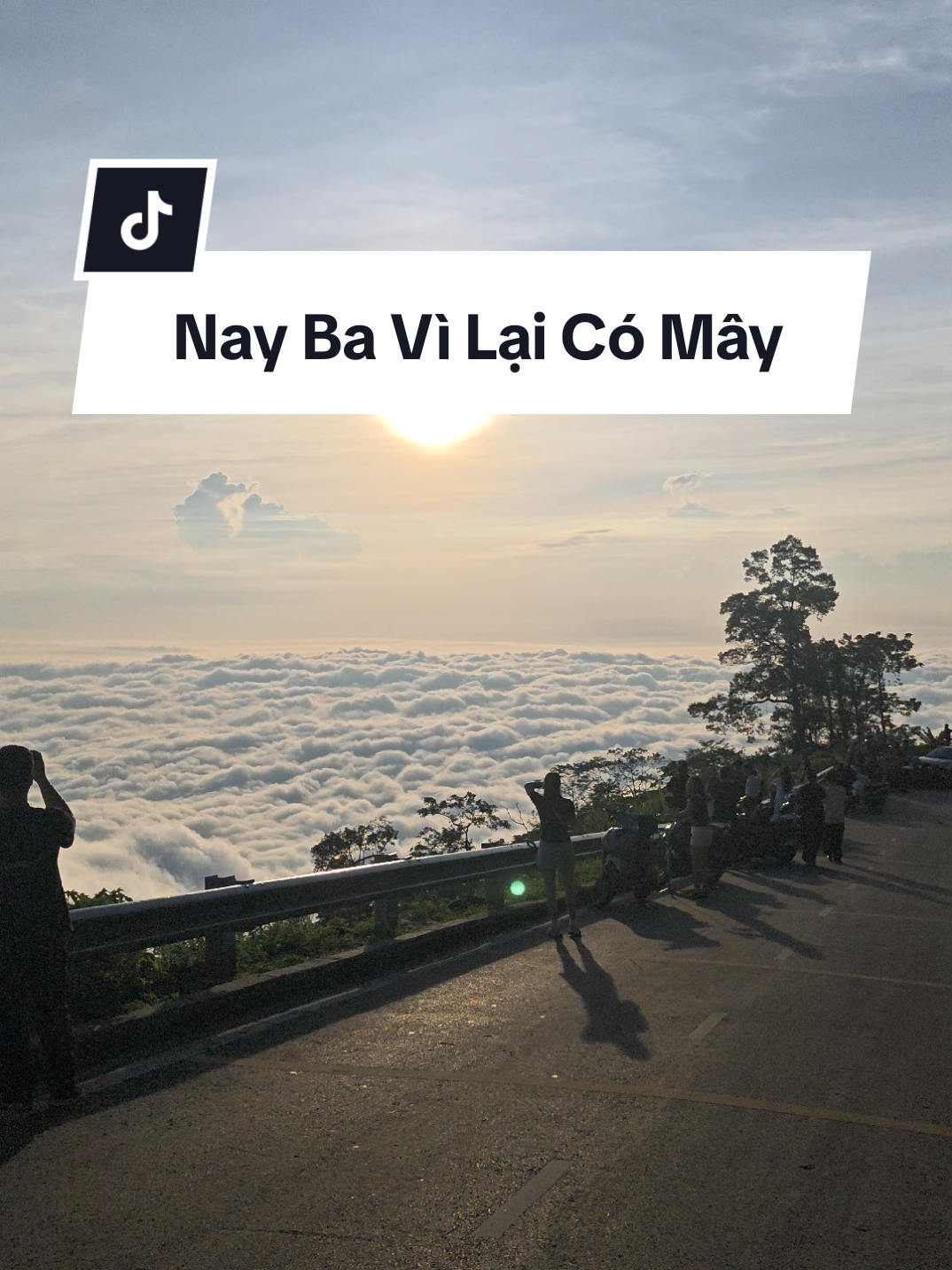 Lại Ngắm Biển Mây Ba Vì ________ #hangthodiabavi #thodiabavi #thodiabaviofficial #sanmaybavi #vuonquocgiabavi 