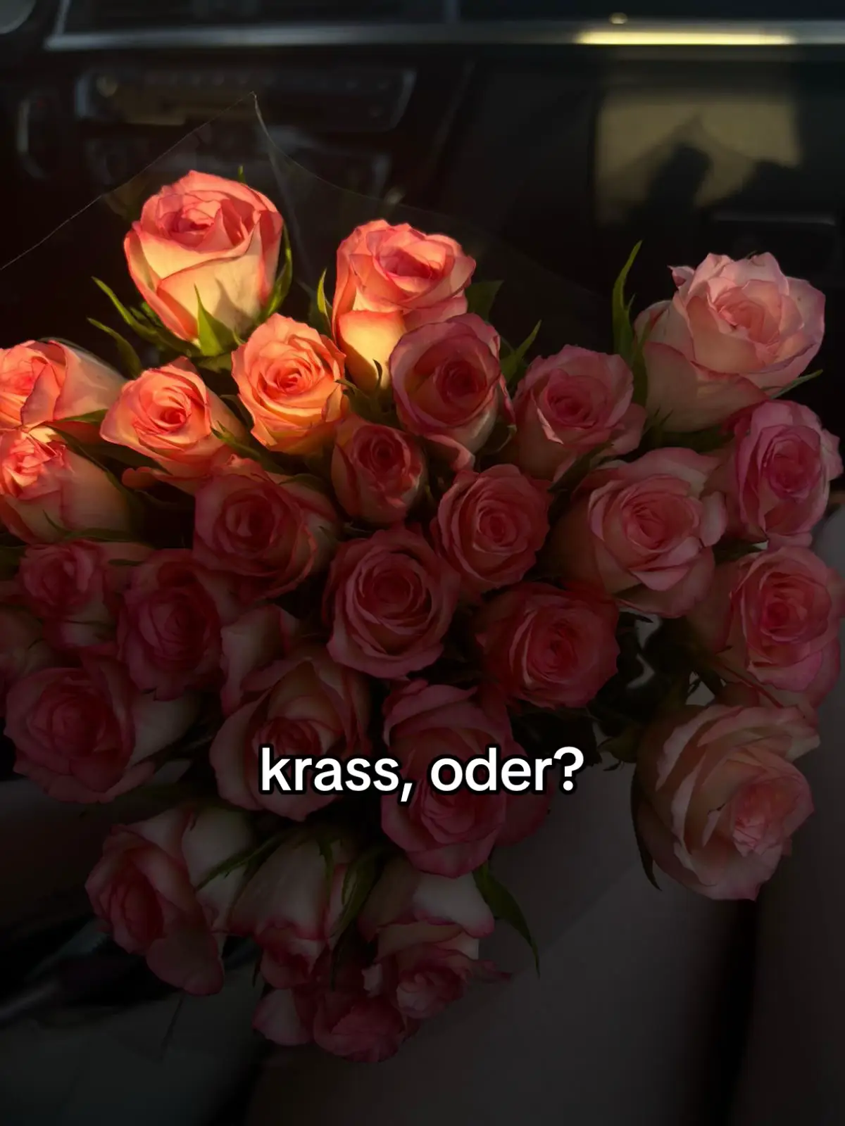 krass, wie wir uns einfach random kennengelernt haben, du jetzt meine lieblingsperson bist und das alles nur wegen einem „hey“