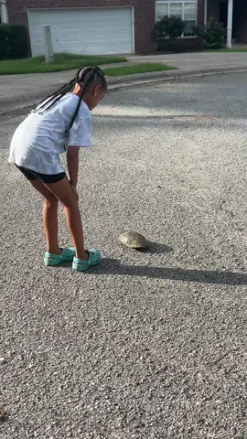 We found a turtle and she wanted to move him out of the way so he doesn't get ran over 🥺 #MomsofTikTok #mom #momtok #MomsofTikTok #foryou #autismmom #turtle #turtletok #turtlesoftiktok 