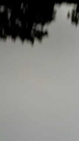 THREW MY PHONE IT NEVER HIT THE GROUND #tiktokcamperwannabefamous 