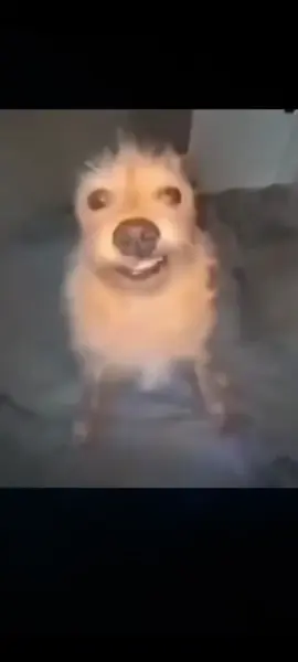 día 4, temporada 2 #yo #ando #de #caravana 