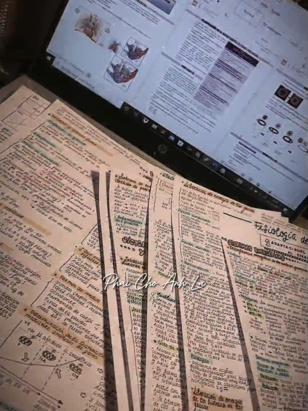 Cái được gọi là: 