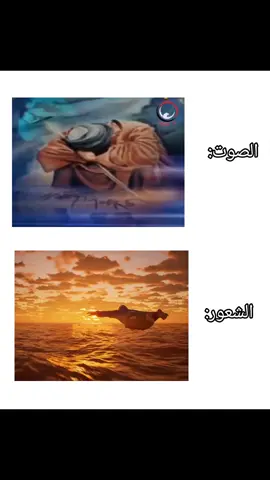 ذكريات مهدي العبودي  #fypシ #fy #fyyyyyyyyyyyyyyyy #fyp #مهدي_العبودي 
