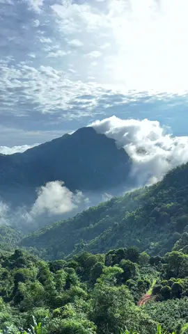 บรรยากาศช่วงเช้าของวันนี้🫶❤️ทะเลหมอก🌫️⛰️มาต้อนรับถึงหน้าห้องพักเลย🌫️🍃#ผาฮี้วิลเลจโฮมสเตย์ #ที่พักเชียงราย #บ้านผาฮี้ #ที่พักผาฮี้ #ผาฮี้ #ผาฮี้เชียงราย #วิวหลักล้าน 