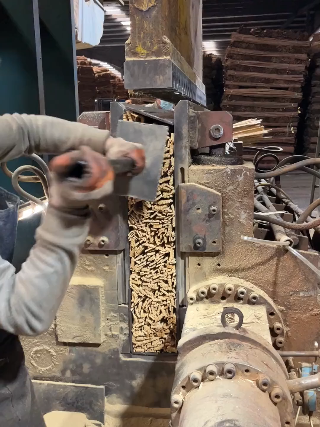 PRENSADO DE BAMBÚ Bajo la fuerza brutal de una prensa hidráulica, miles de tallos se comprimen hasta quedar casi irreconocibles, reducidos a una mínima fracción de su tamaño original. En China, esta industria transforma cada pieza en tablas, cartones y otros productos resistentes con precisión absoluta. Luego, el material se almacena meticulosamente, listo para viajar por todo el país… y más allá. #Bambú #IndustriaChina #ProducciónSostenible #PrensaHidráulica #MaterialesResistentes