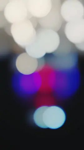 kaos mafia sapi #kaossapi #peternakmuda #peternaksapi #tukangngarit #peternaksapiindonesia 