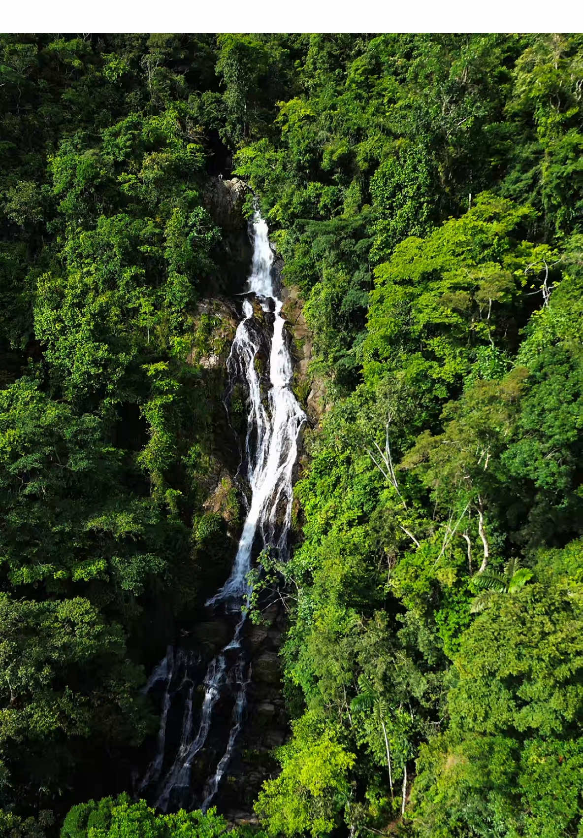 Hasta donde llegarías por una vista así? 💚 . . . #viral #djimini4pro #fyp #Outdoors #waterfall 