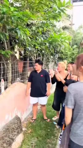 🪿🪿🪿 #thailand🇹🇭 #thai #fyp #funnyvideo #funny #xybca #ngakak #videolucu 