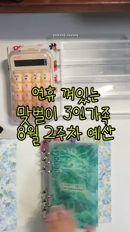 #CapCut #현금생활 #savingmoneytip #budget #Budgeting #asmr #moneysaver #cashchallenge #현금모으기 #현금저축 