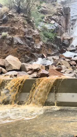 #الجنوب #fyp #tiktok #صالح_ال_مانعه✨ #futbol #CapCut 