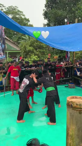 umum e ijo putih💚🤍#pagarnusa86💚🔱 #pagarnusaindonesia #pencakdor #gasmilirboyo #psht #fyp #fypシ゚ #xyzbca 
