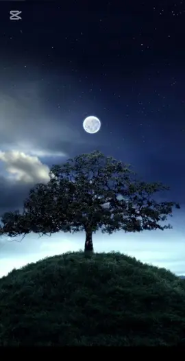 .......الإخوة نعمة من الله الحمدالله#اللهم_لك_الحمد_ولك_الشكر 