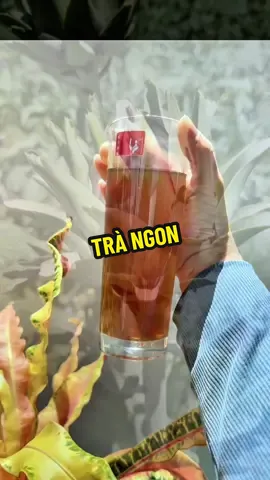 Trà atiso nhà Ammu tốt cho sức khoẻ#traatisodalat #traatisoammu#huynhphuong19392 #anngonmoingay #satthuvideogan 