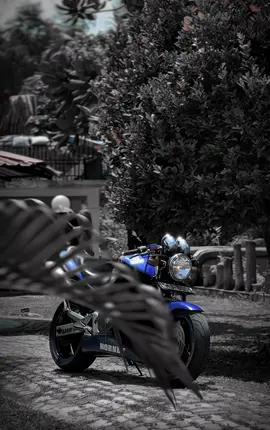 කතා හදන්න බැරි ඒවා 👌 #honet250 #hornetridersclub🐝🇱🇰hrc #downsouth🇱🇰 #aluthgama #dikwella #matara #100k 