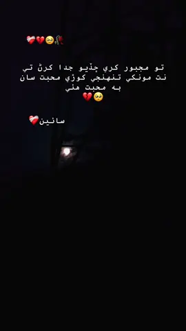 تو مجبور کري ڇڏيو جدا کرڻ تي نت مونکي تنهنجي کوڙي محبت سان به محبت هئي 💔🥺#createforacause #creatorsearchinsights #creatorsearchinsights2025 #creative 