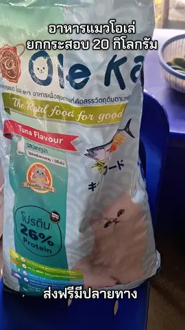 อาหารแมวโอเล่ยกกระสอบ 20 กิโลกรัม#ส่งฟรีเก็บปลายทาง #อาหารแมวโต #อาหารแมว #อาหารแมวโอเล่แคท #ถูกและดี 