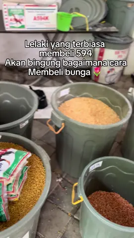 #peternakrumahan #peternakmuda #sempiternalbreeder #ayambangkok #ayambangkoksuper #ayambangkokimport #foryou #xybca #fypシ゚viral #fypシ゚viral🖤tiktok #fyppppppppppppppppppppppp #masukberandafyp #bismillahfyp #CapCut 