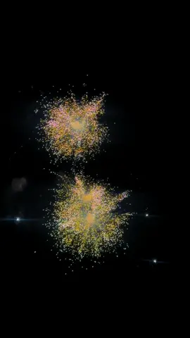 💥💥 #fireworks #negombo #brownsbeach #fyp #srilankan_tik_tok🇱🇰 
