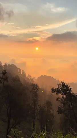 Sisi lain dari Gunung Buthak. Kalian bisa lihat sunset di pinggir jurang sebelum Sabana jika memang cuaca sedang bagus. #buthak_2868_mpdl #buthakviapanderman #buthak #fyp #pendakiindonesia 