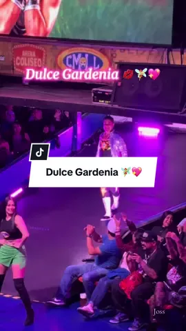 Beso a los que se dejen!! 💋🤣🧚‍♀️💖 Te amo Dulce Gardenia 💖 #dulcegardenia #cmll #luchalibremexicana #ArenaColiseo #luchadores #fyp #viral 