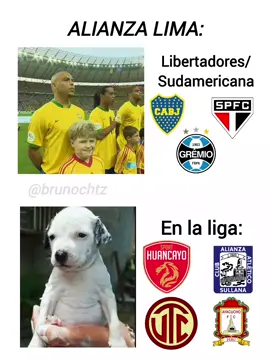 Semana de Sudamericana 🥵 #alianzalima #perú #fyp  #hernanbarcos  #alianzalimacorazonn💙🇵🇪 