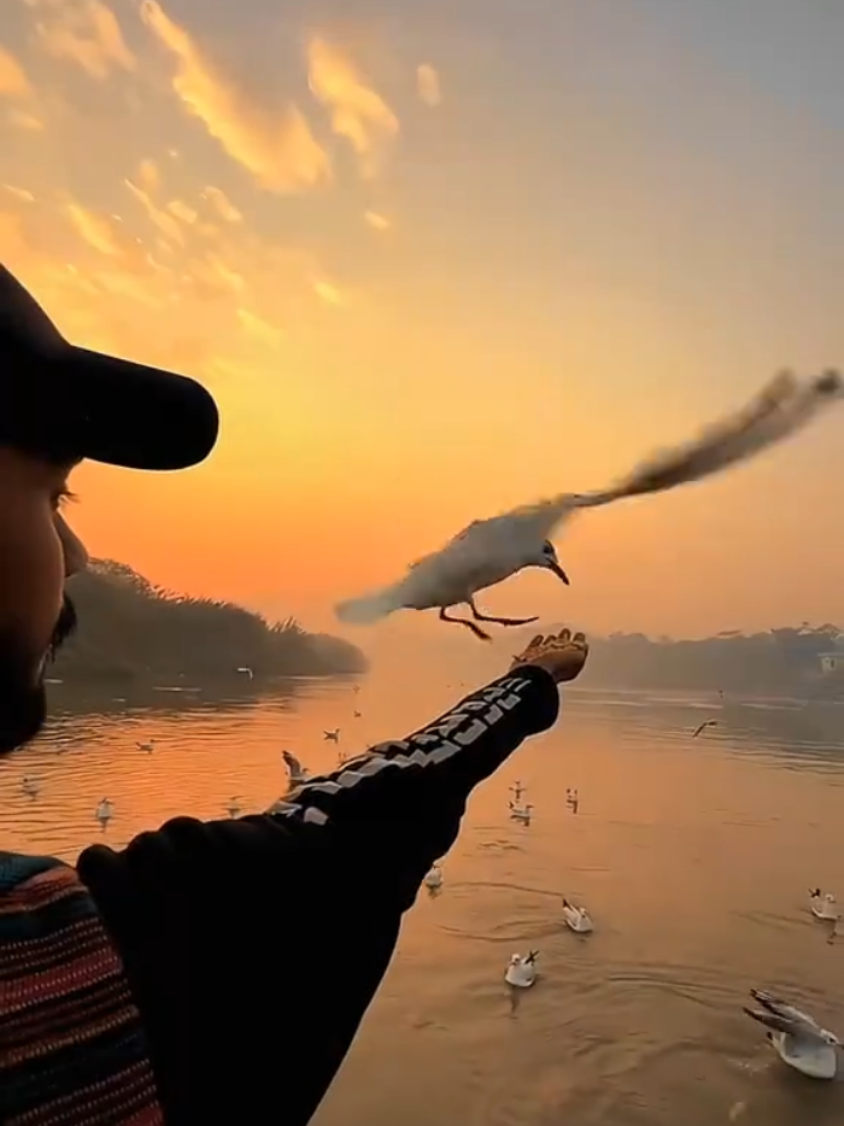 #ইসলামিক_ভিডিও_🤲🕋🤲 #আল্লাহ্_সর্বশক্তিমান #islamic_video #viral #tiktok #foryou #fyp 