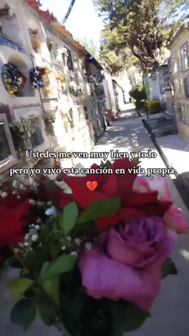 Me visitas de noche en mis sueños 🥺🥺